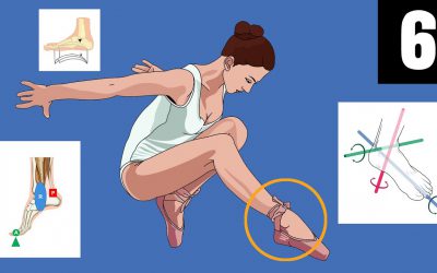 2 Anatomía funcional del tobillo y pie. Ejercicios en entrenamiento, estiramientos y Movilidad.