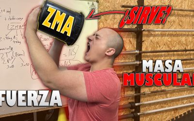 ZMA: ¿Sirve para ganar masa muscular y fuerza?