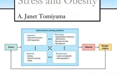 Estrés y obesidad