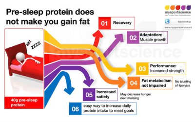 La proteína antes de dormir no te hace engordar