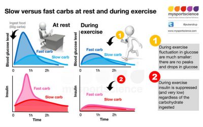¿Los carbohidratos lentos están a la altura de las expectativas?