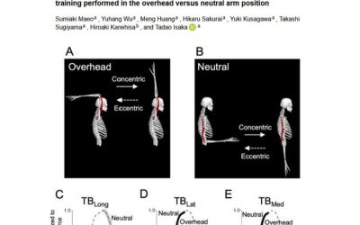 Descubrimiento en la hipertrofia del tríceps