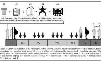 Efectos de 3 vs 5 días de la interrupción del entrenamiento sobre la fuerza máxima