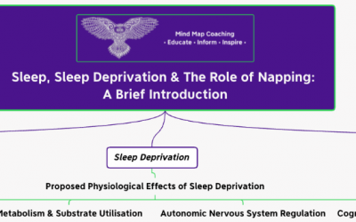Sueño, privación del sueño y el papel de la siesta: una breve introducción